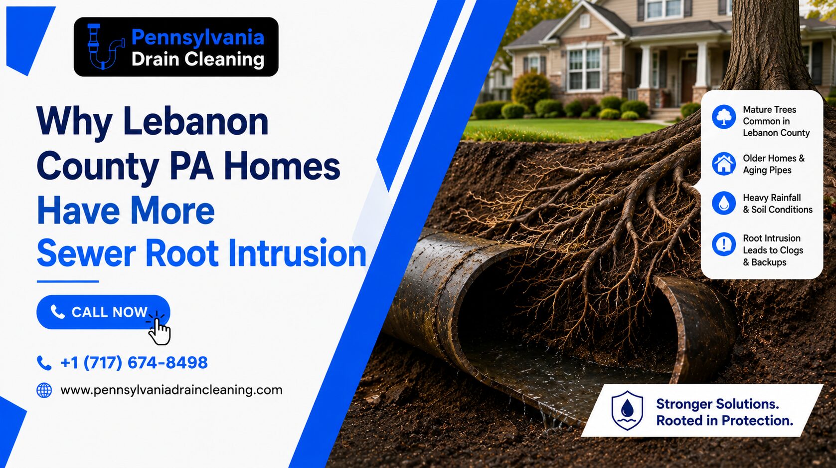 Lebanon County PA sewer root intrusion
